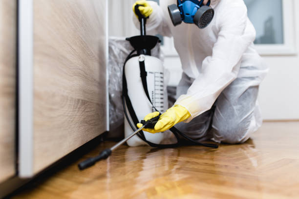 Best Affordable Pest Control Services  in Oakland, MD