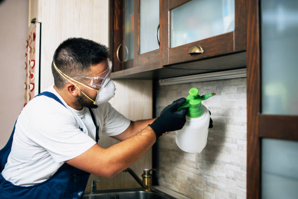 Reliable Oakland, MD Pest Control Solutions