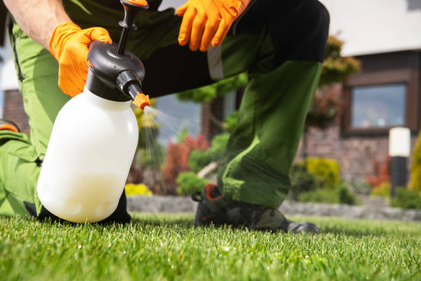 Best Pest Control Near Me  in Oakland, MD