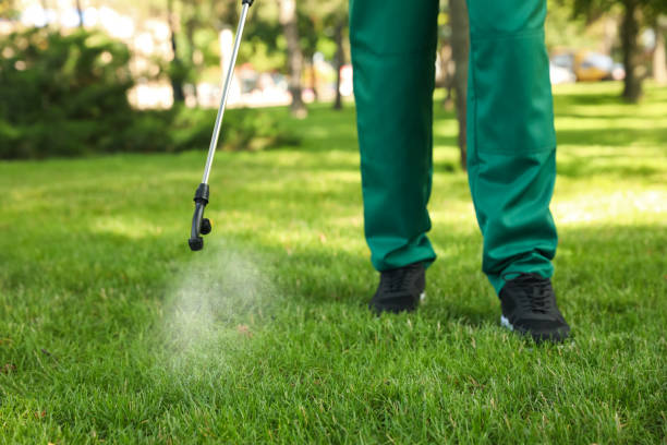 Best Flea Control Services  in Oakland, MD