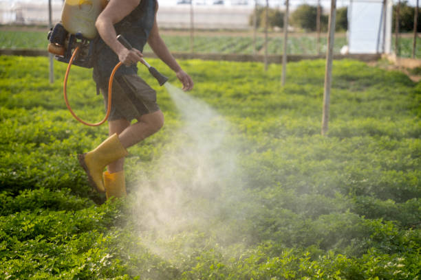 Best Pest Control for Restaurants  in Oakland, MD