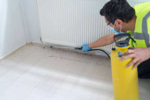 Best Best Pest Control Companies  in Oakland, MD